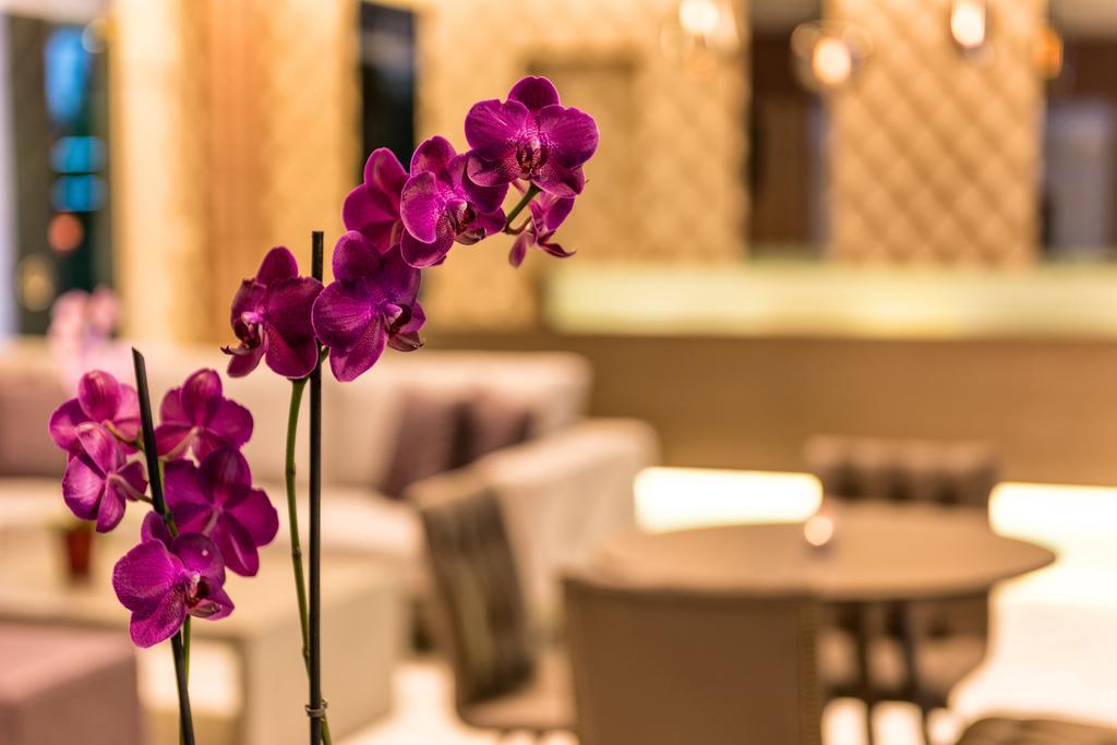 פלטאנס Ariadne Hotel מראה חיצוני תמונה